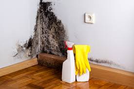 Mold Removal for HVAC Installations in Varnell, GA